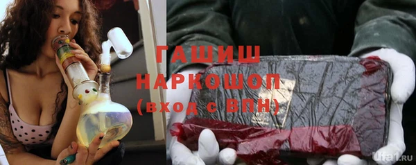 прущие грибы Беломорск