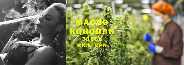 прущие грибы Беломорск