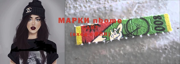 прущие грибы Беломорск