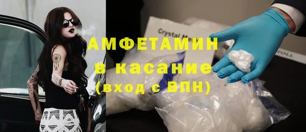 индика Белокуриха