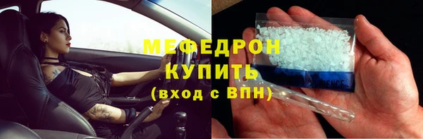 индика Белокуриха
