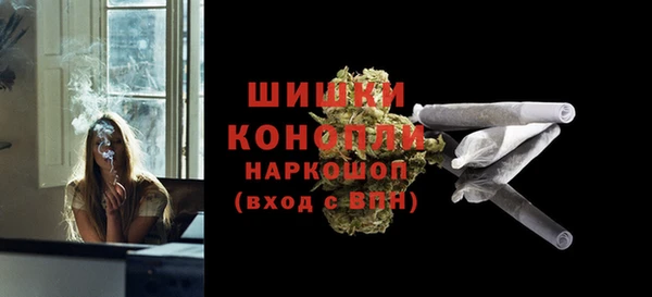 индика Белокуриха