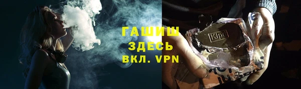 индика Белокуриха