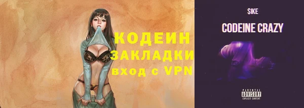 индика Белокуриха