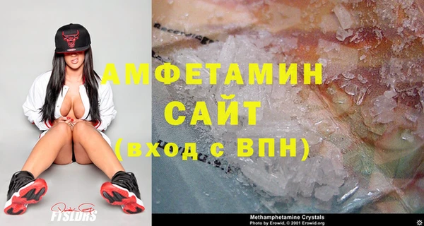 индика Белокуриха