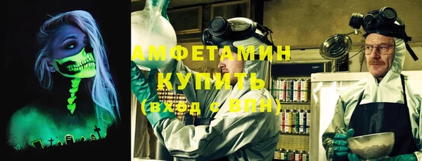 прущие грибы Беломорск