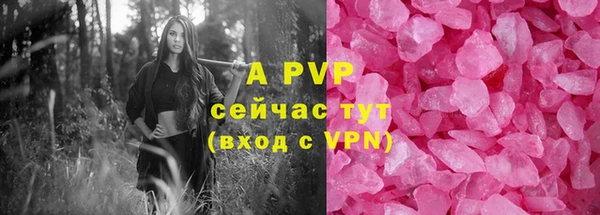 прущие грибы Беломорск