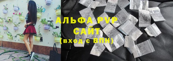 индика Белокуриха