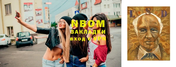 прущие грибы Беломорск