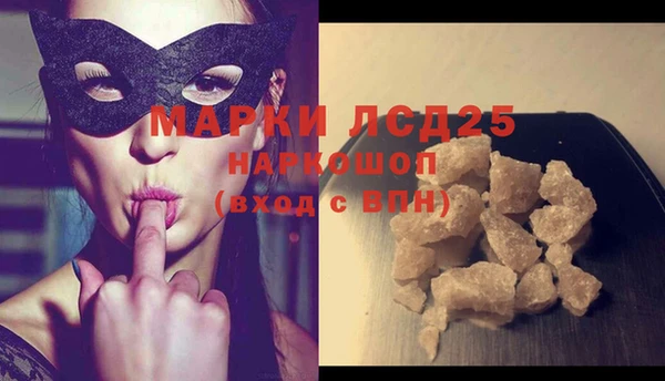 прущие грибы Беломорск
